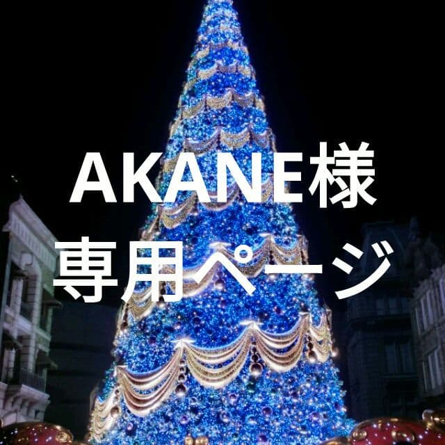 AKANE様 リメイクデニム★サイドフリンジ(なし)バック＋ストラップセット