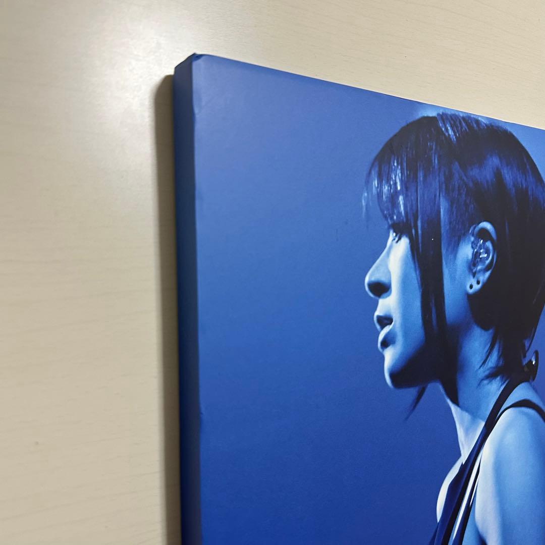 宇多田ヒカル Laughter in the Dark Tour 完全生産限定