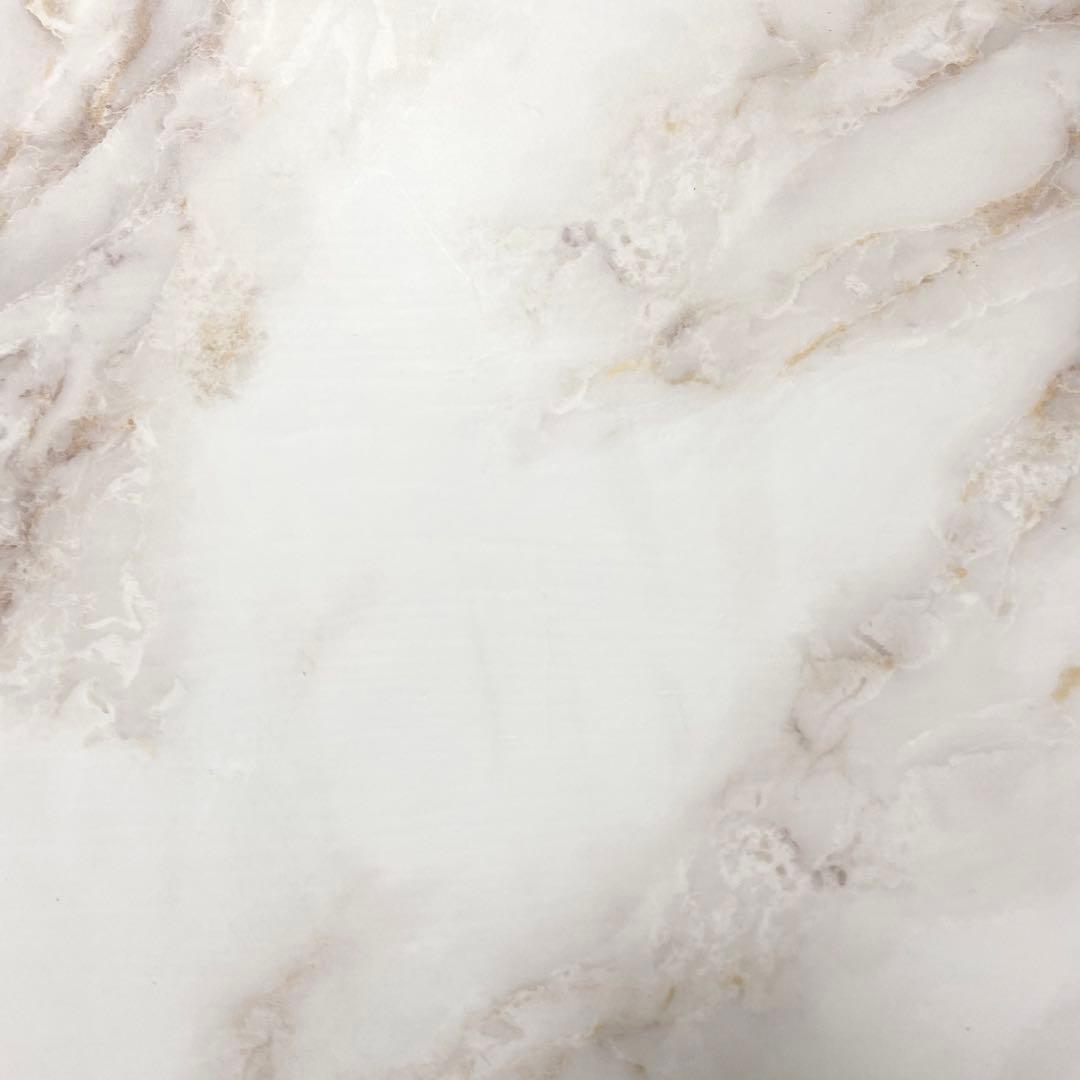 【2点購入150円引】キンダーブック しぜん うごく 『2021年11月号』