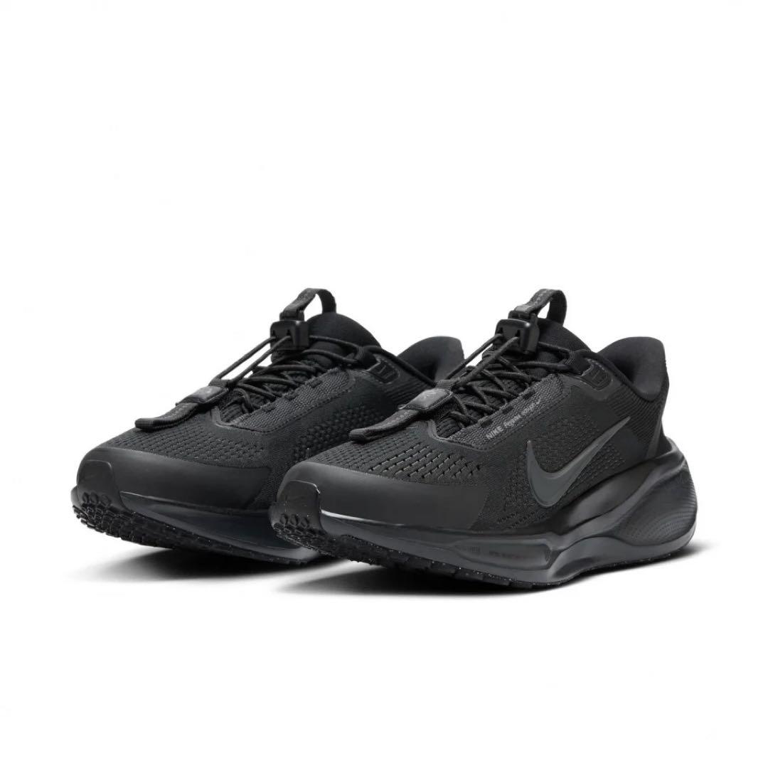 ペガサスイージーオンとペガサスプラス25.5cm