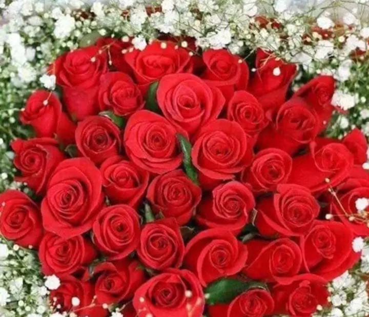 きゃなぴページです