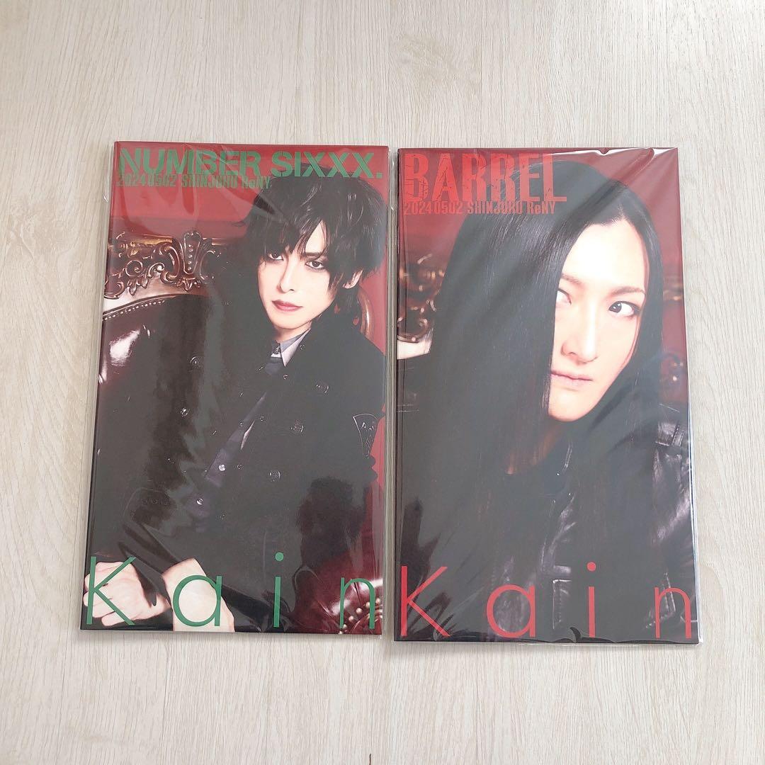 kɑin 限定CD セット JILS 藤田幸也