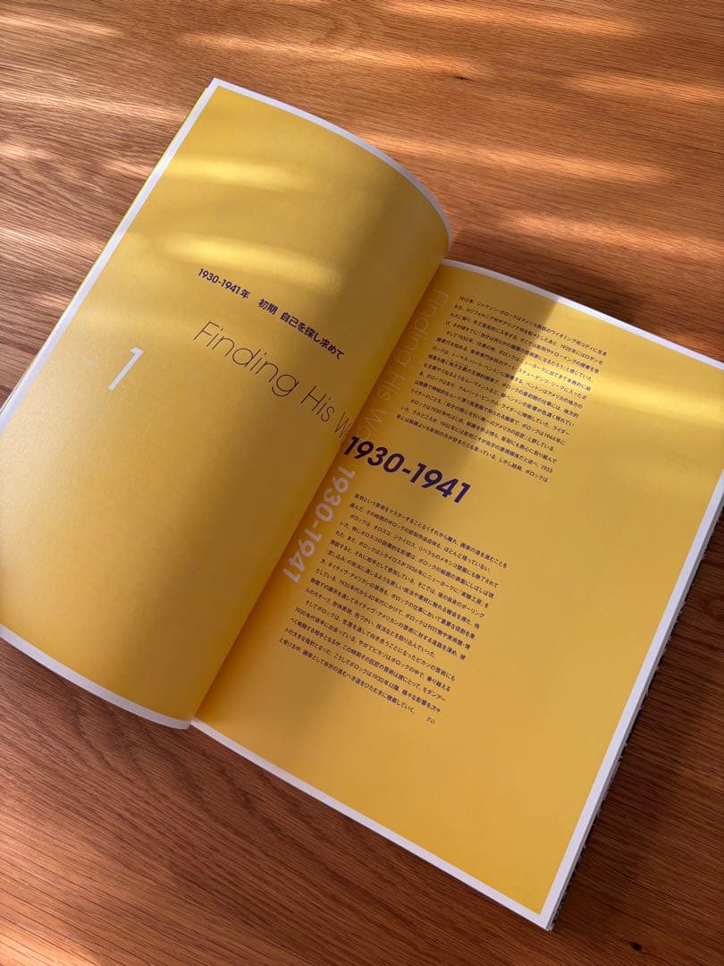 【希少】生誕100年　ジャクソンポロック jackson pollock画集