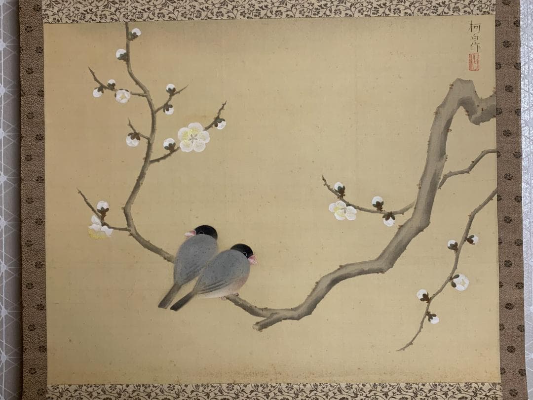 小林柯白 梅花小禽図 絹本肉筆 掛軸 光穂識箱 安田靫彦師事 842
