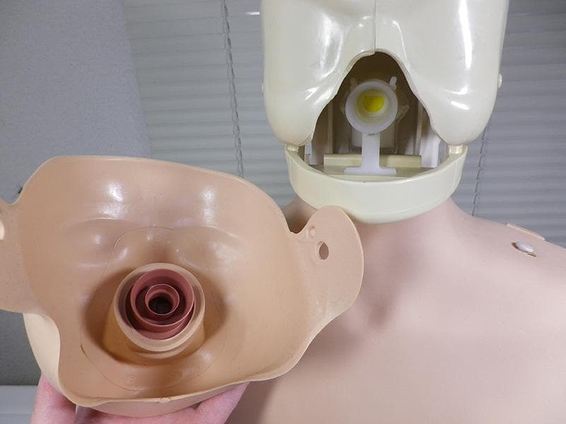 レールダル・リトルアン（成人）心肺蘇生　CPR　トレーニング　マネキン