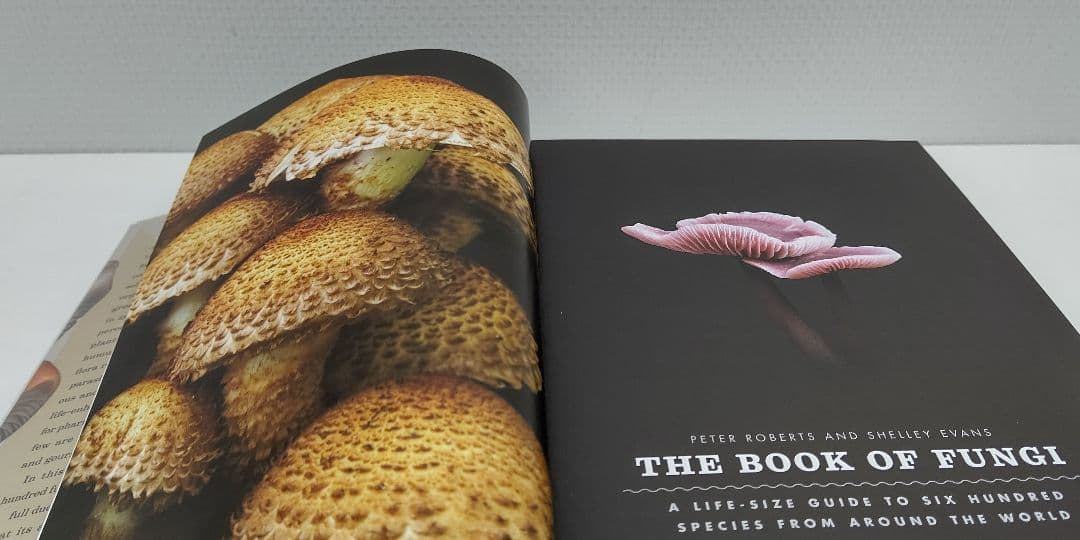 『 THE BOOK OF FUNGI 』世界きのこ大図鑑 オリジナル英語版