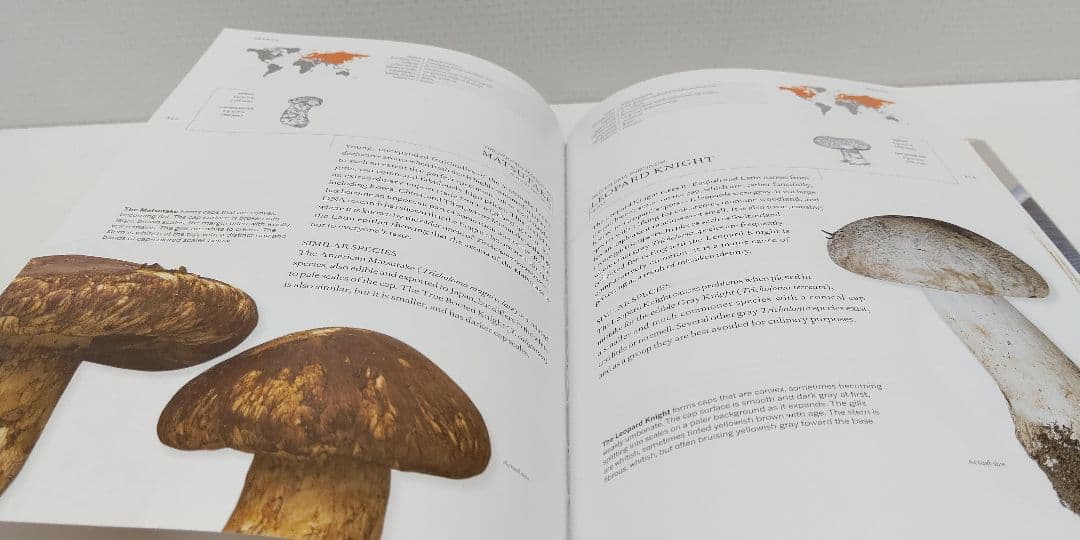 『 THE BOOK OF FUNGI 』世界きのこ大図鑑 オリジナル英語版