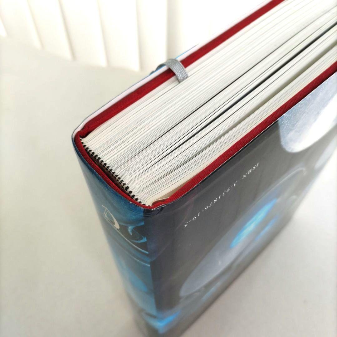 Fabrio Plessi:Opus Video Sculpture/ビデオ彫刻