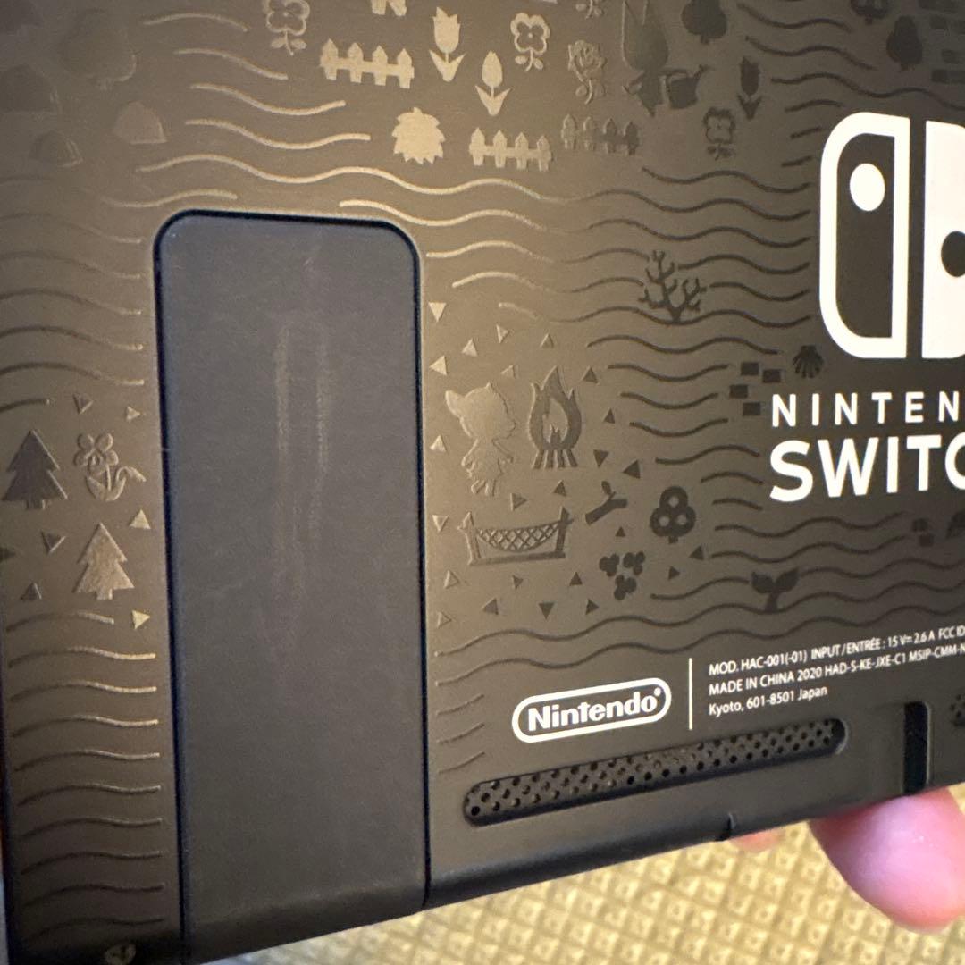 Nintendo Switch あつまれ どうぶつの森セット　ケース付き