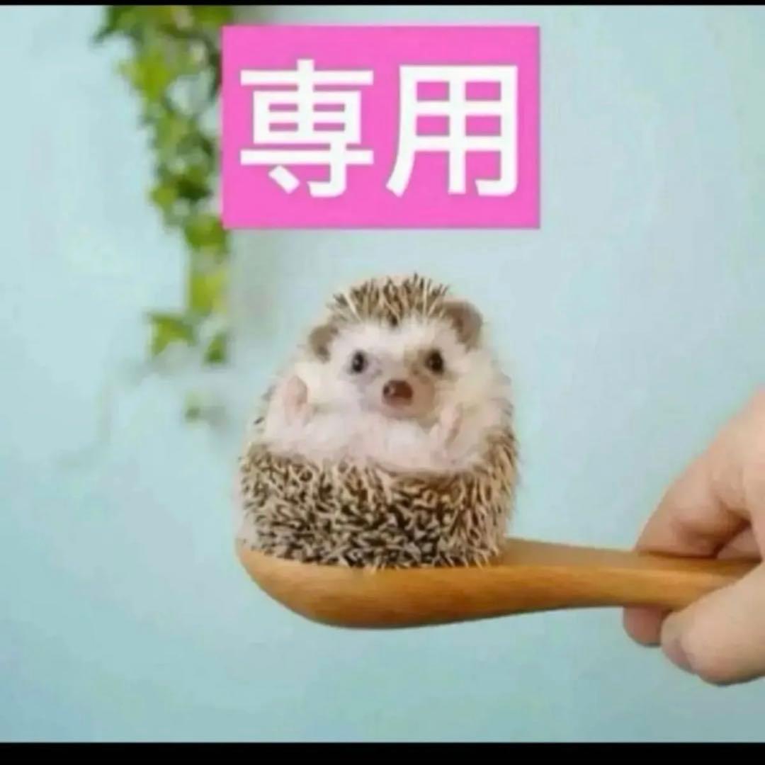 専用香水4点、ミスディオールオードウパルファン