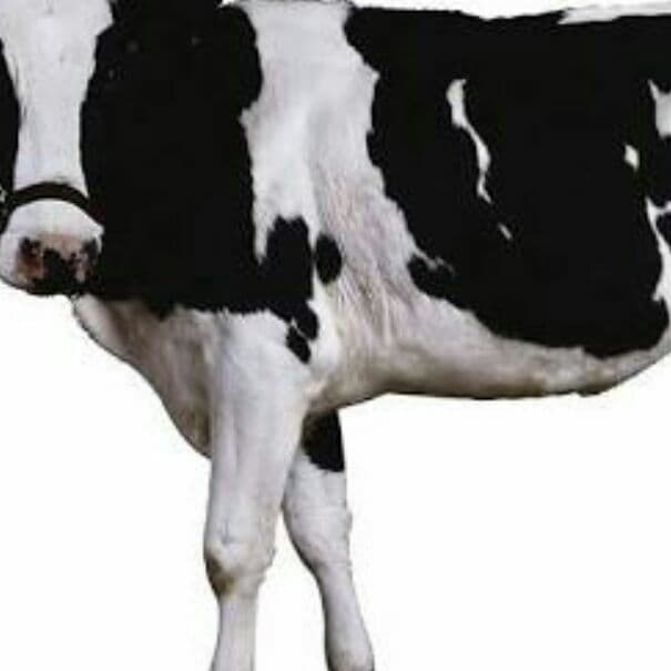 たくやさま専用