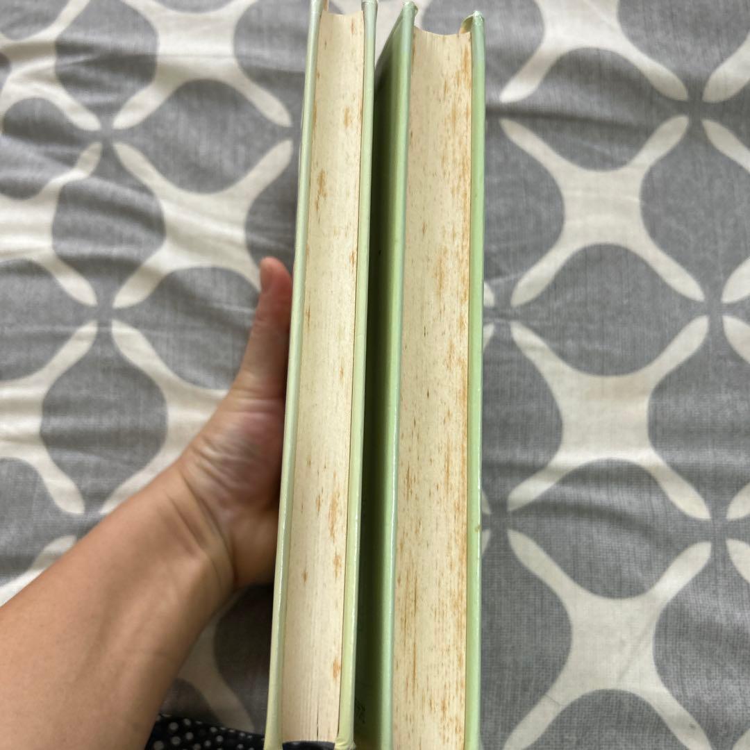 真空管アンプと喜多さんの音響道中膝栗毛 2巻セット