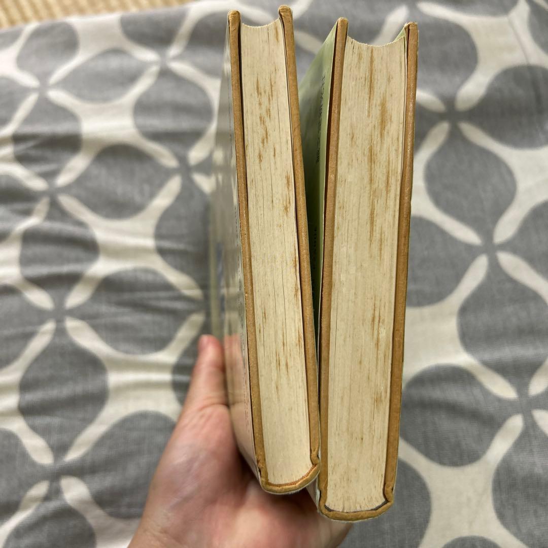 真空管アンプと喜多さんの音響道中膝栗毛 2巻セット