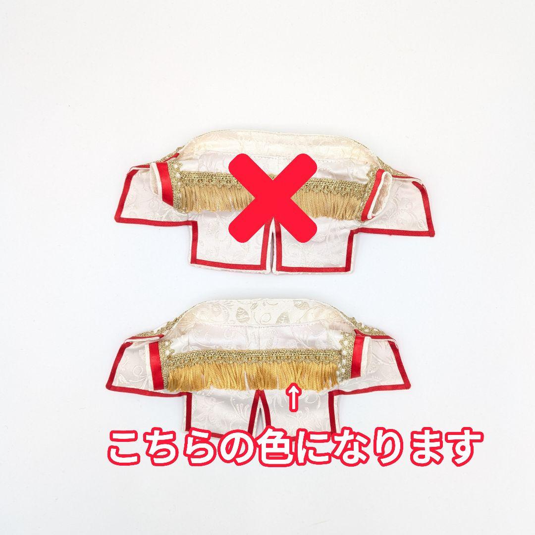 すのチルBIGぬいぐるみ『地球してるぜ』衣装　1着