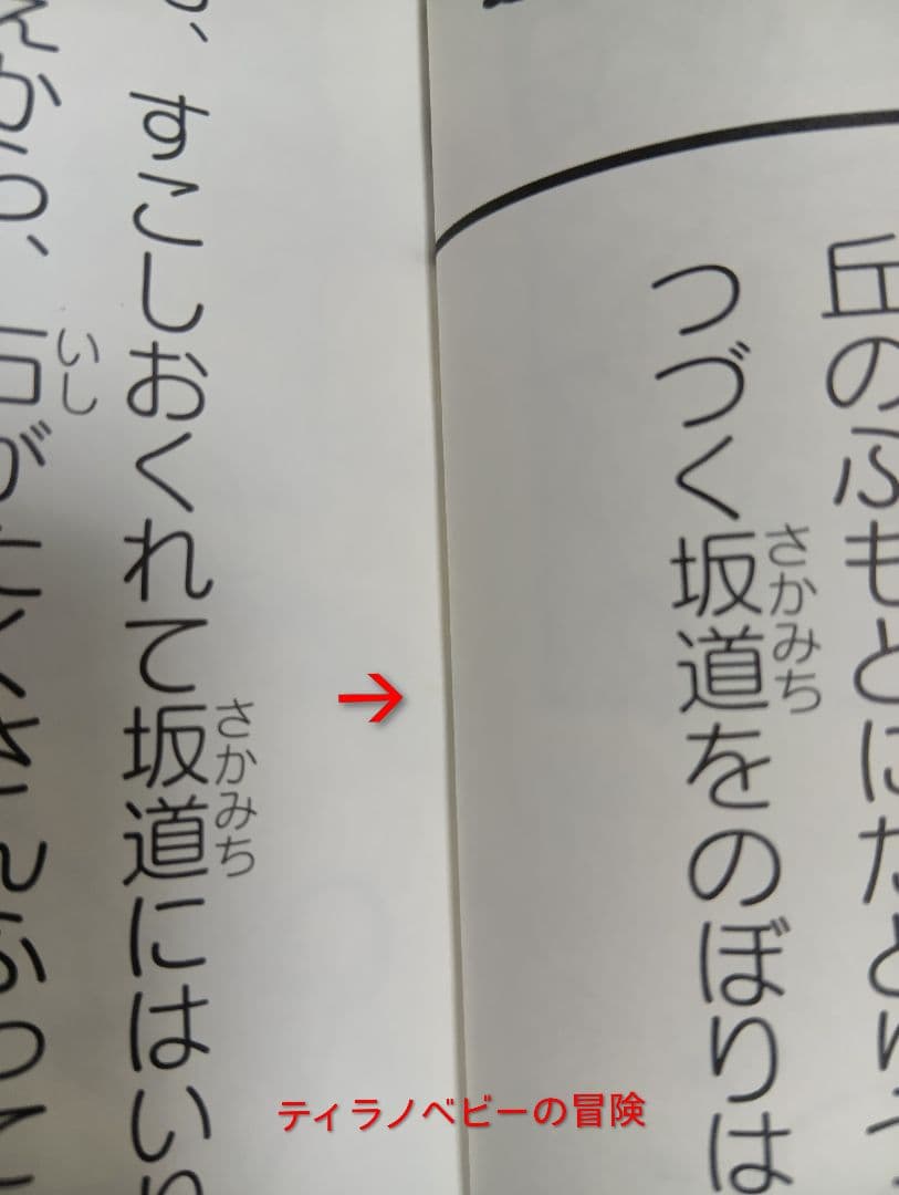 ほねほねザウルス　29冊