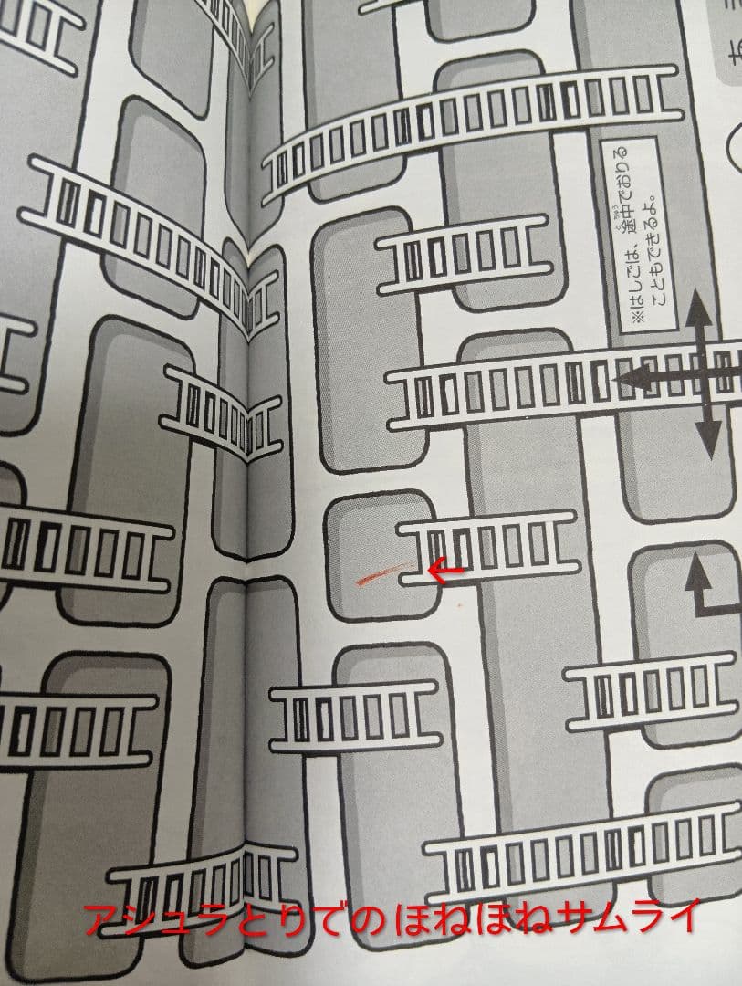 ほねほねザウルス　29冊