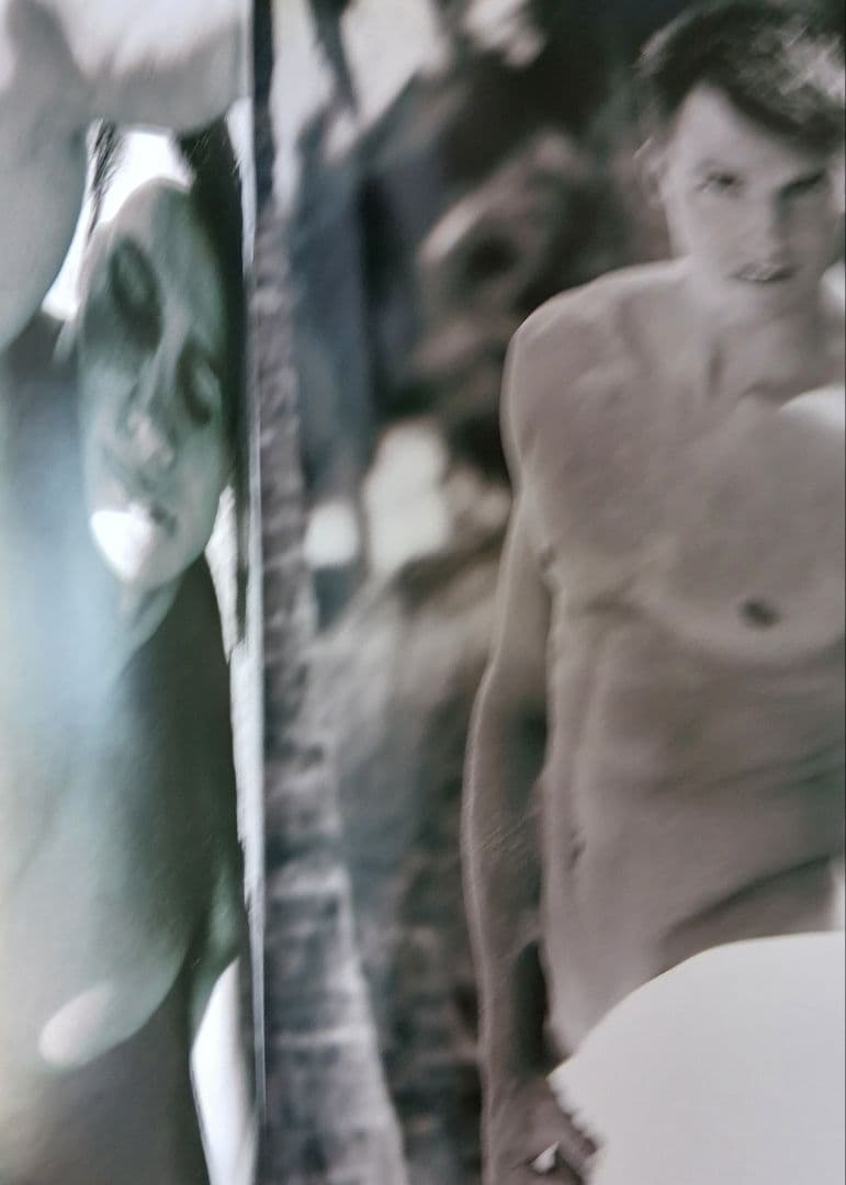 Beach Boys Max-Arthur Mantle 写真集