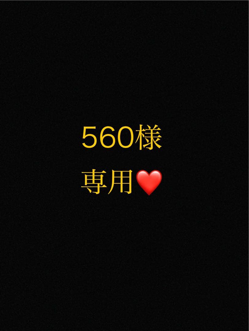 560ページ