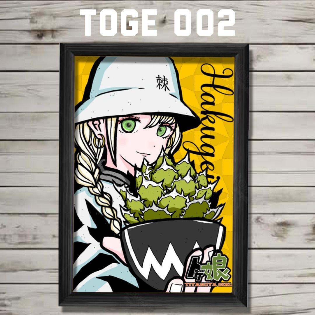 【特】棘福袋16枚セットまさ02