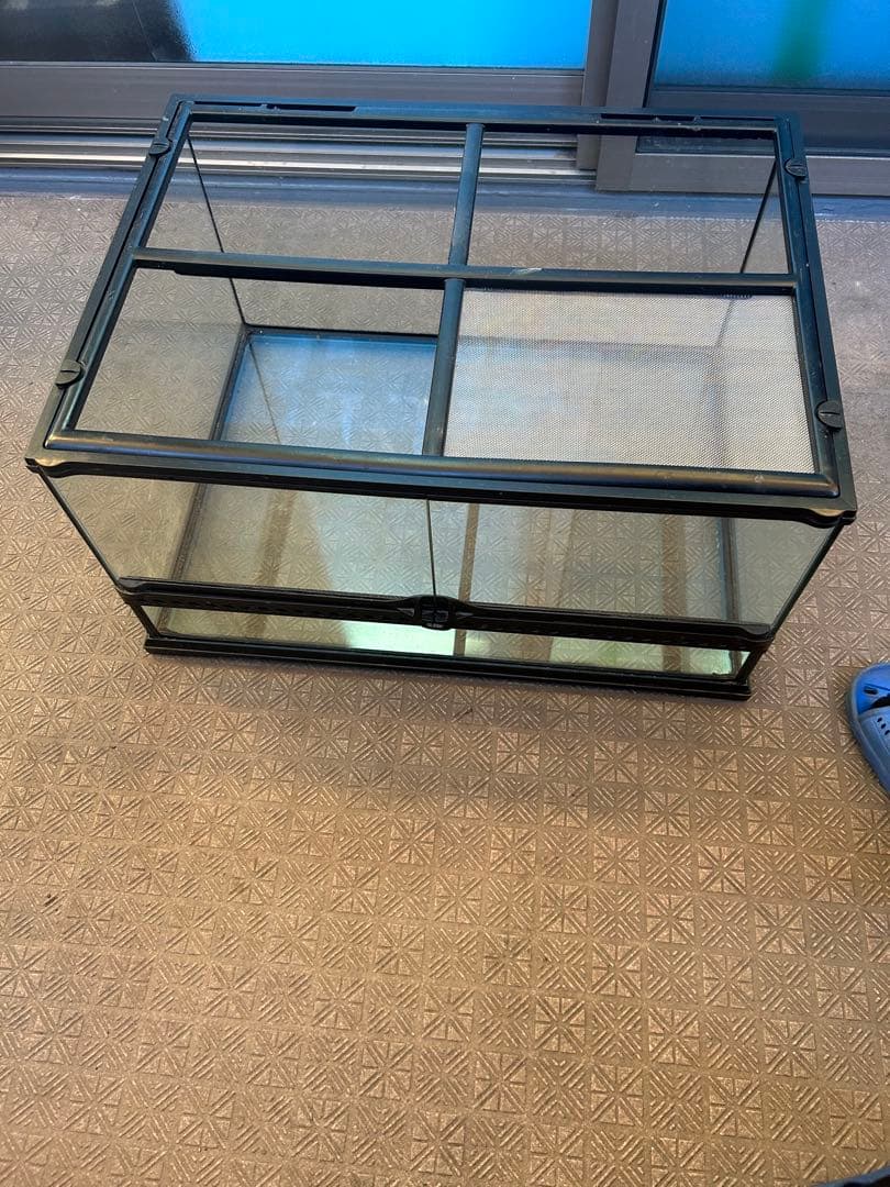 グラステラリウム 6030