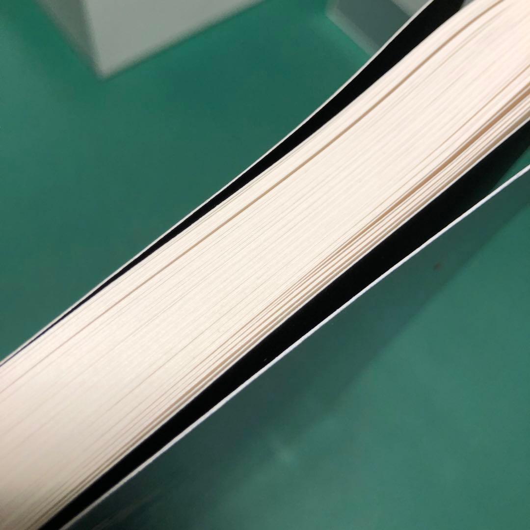 Thomas Ruff / Lichten トーマス・ルフ 作品集