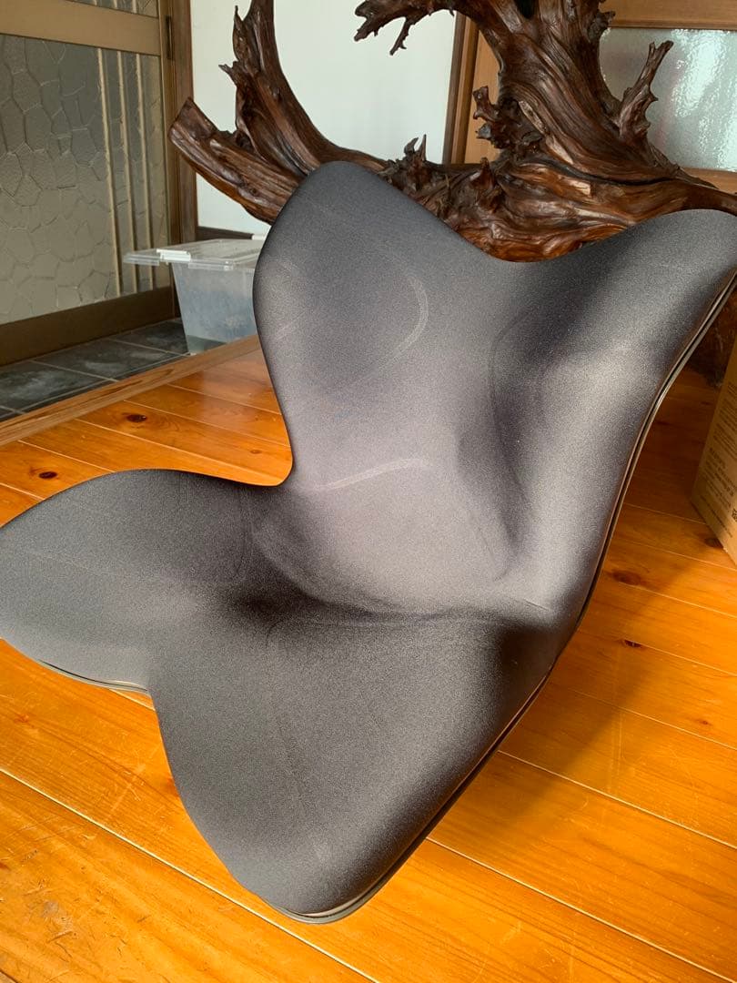 Style PREMIUM 骨盤・姿勢矯正クッション ブラック