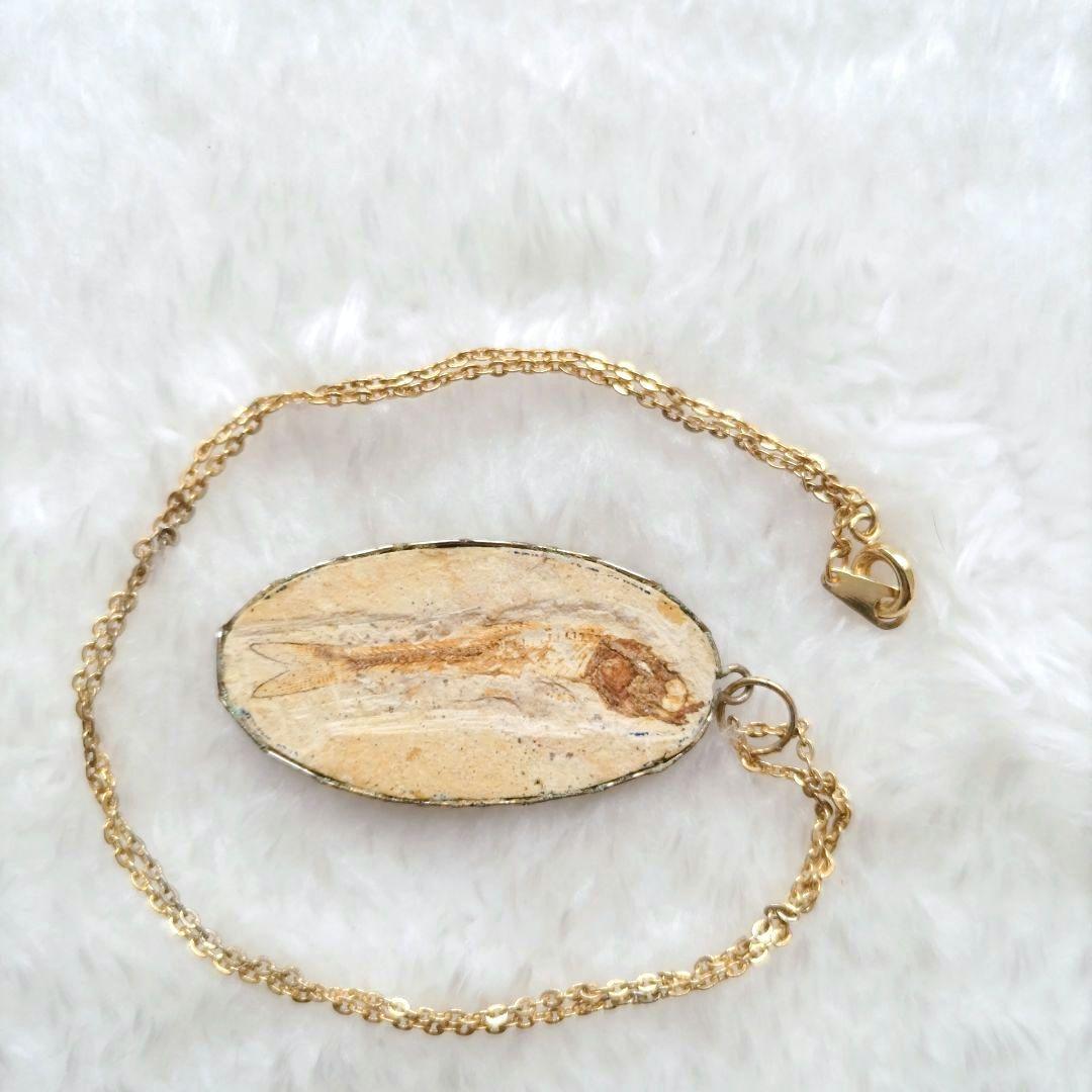 古代魚 ダスティルベ 化石 ネックレス ブラジル産 ヴィンテージ 希少