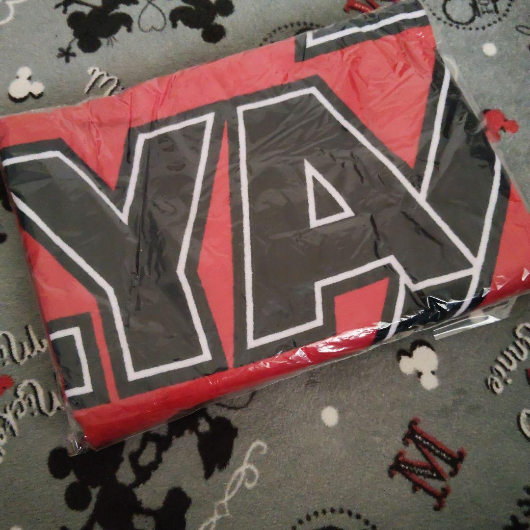 矢沢永吉 DIAMOND MOON 大きなロゴタオル レッド