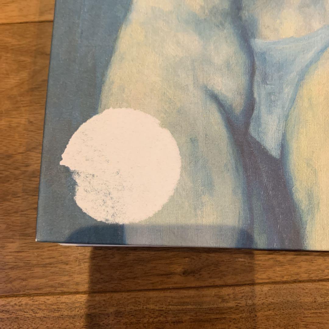 Picasso アート 洋書