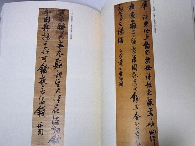 董其昌/張瑞図/王鐸/許友/査昇/沈宗敬 中国書道■明末清初書法展 書家■u4