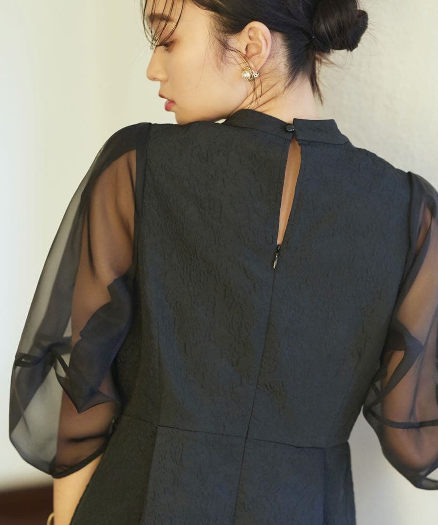 RUIRUE BOUTIQUE シアーランタンスリーブふくれジャガードドレス