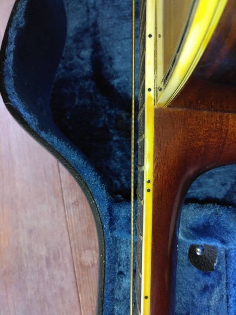 Morris TF w-80 アコースティックギター ハードケース付