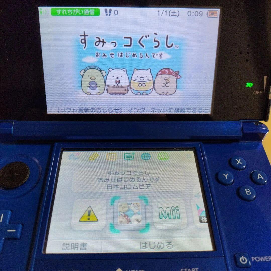 ニンテンドーDSソフト　１３セット売り