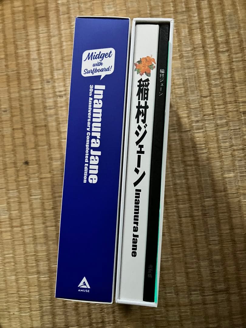 稲村ジェーン 30周年コンプリートエディション DVD BOX('90プロデュ…