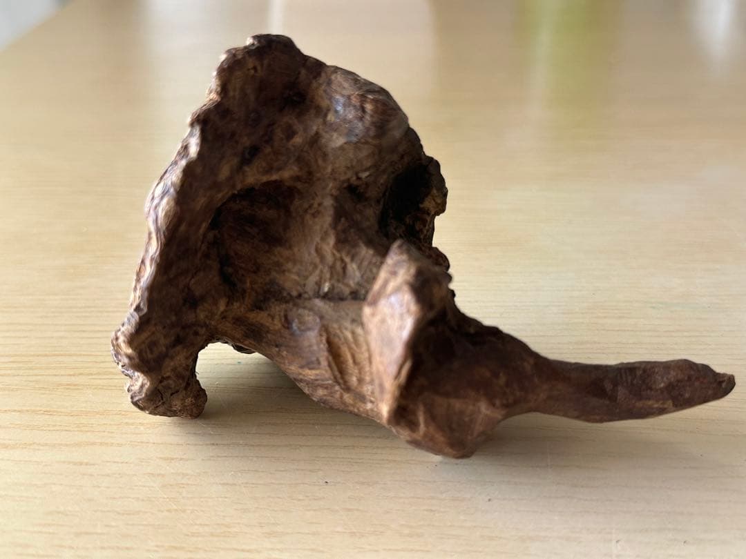 沈香　香木　インドネシア産