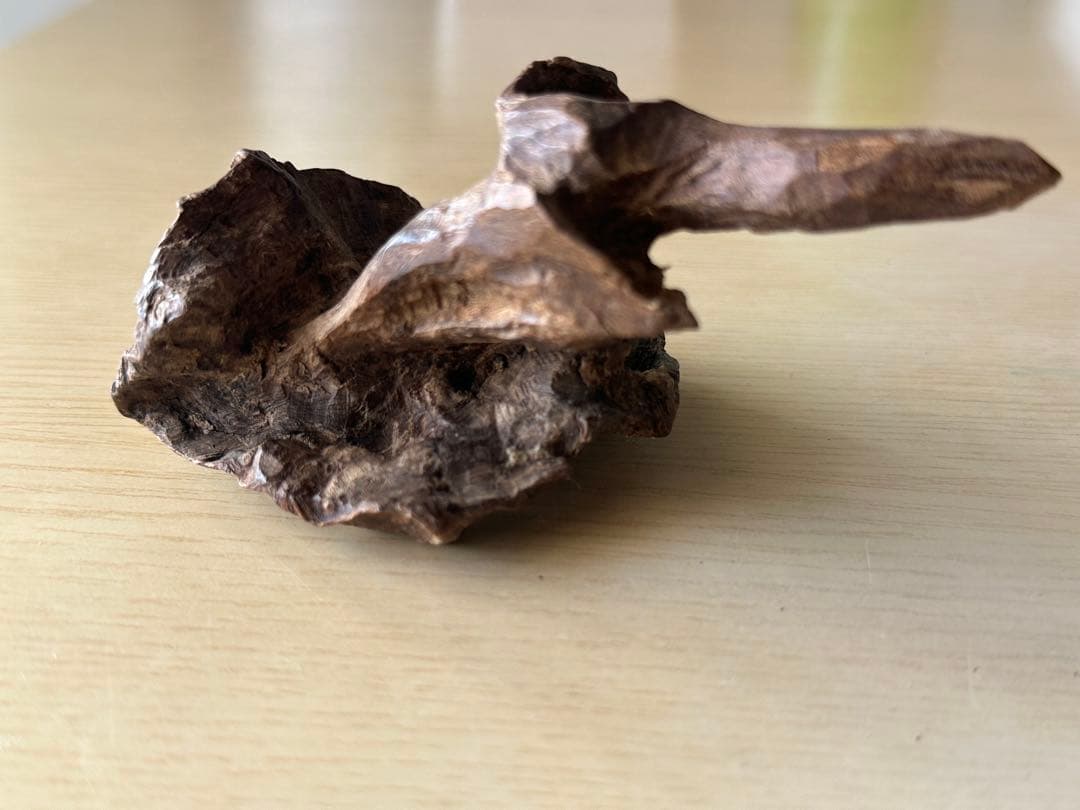 沈香　香木　インドネシア産