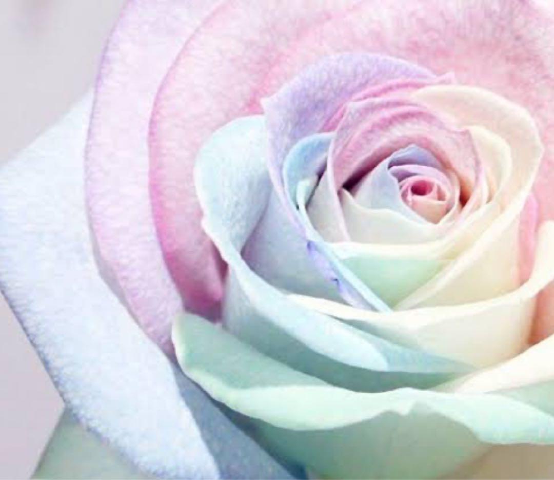 yu☆ コラゲリード2 ミルク