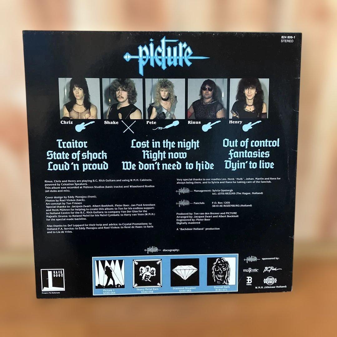 PICTURE ピクチャー ヘヴィメタル