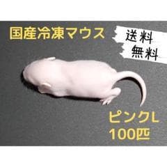 国産冷凍マウス ピンクL 100匹(送料無料一部地域発送不可)