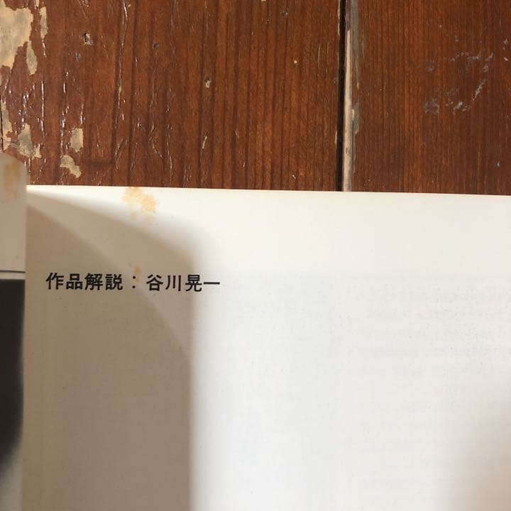 100 Posters of TADANORI YOKOO 横尾忠則ポスター集