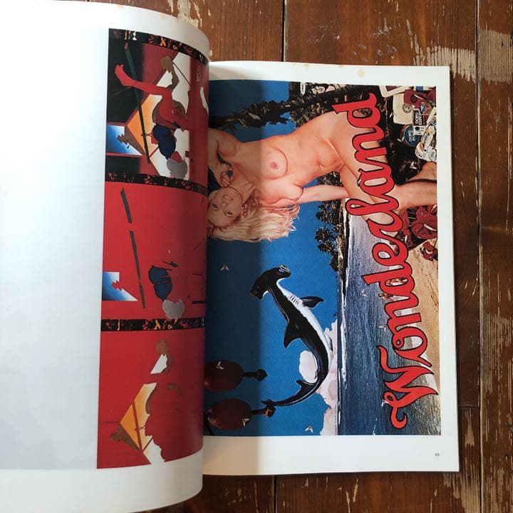 100 Posters of TADANORI YOKOO 横尾忠則ポスター集