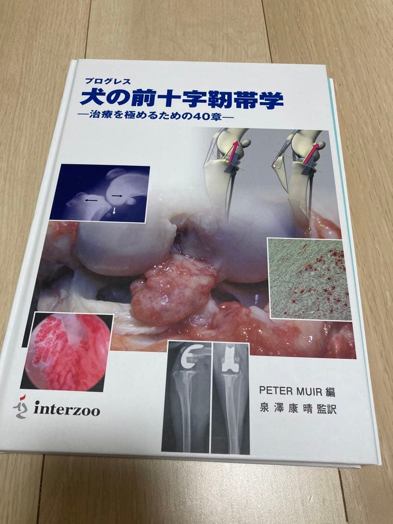 裁断済み　犬の前十字靭帯学