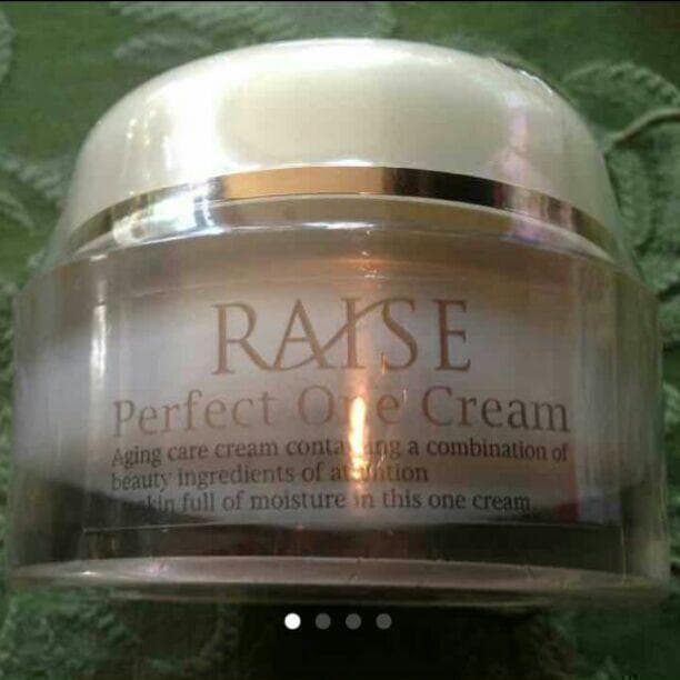 3個  RAISE レイズ パーフェクトワンクリーム オールインワン 美容液