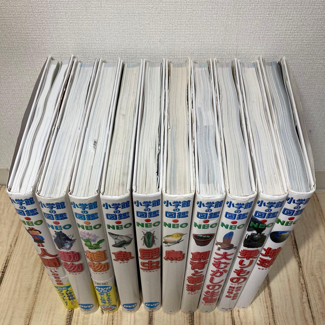 小学館の図鑑 NEO 全10巻セット DVD付き