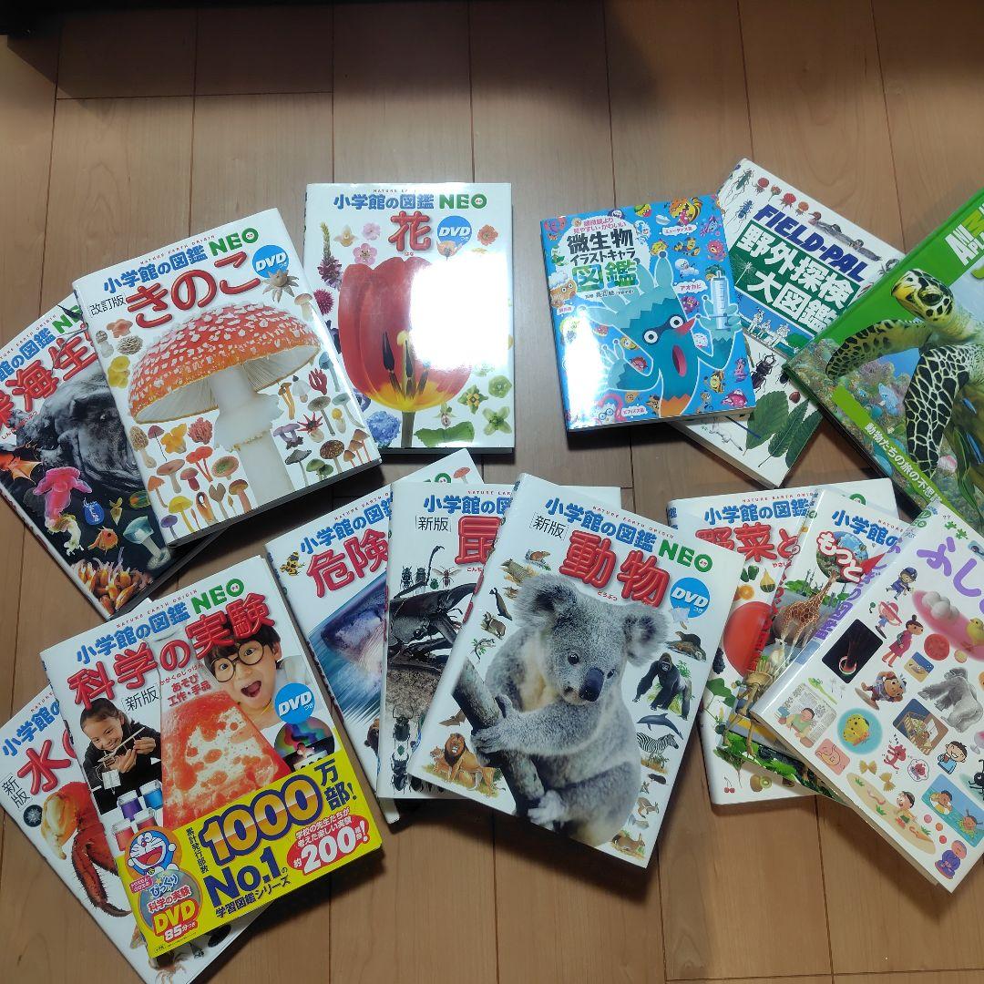 小学館の図鑑NEO 11冊セット　DVD8冊あり