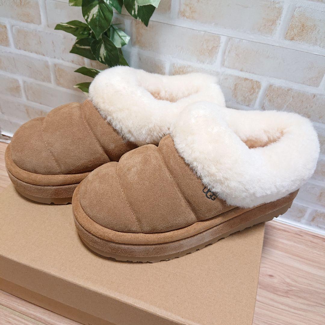 Tazzlita　タズリータ チェスナット 23cm 厚底 新品　UGG　アグ