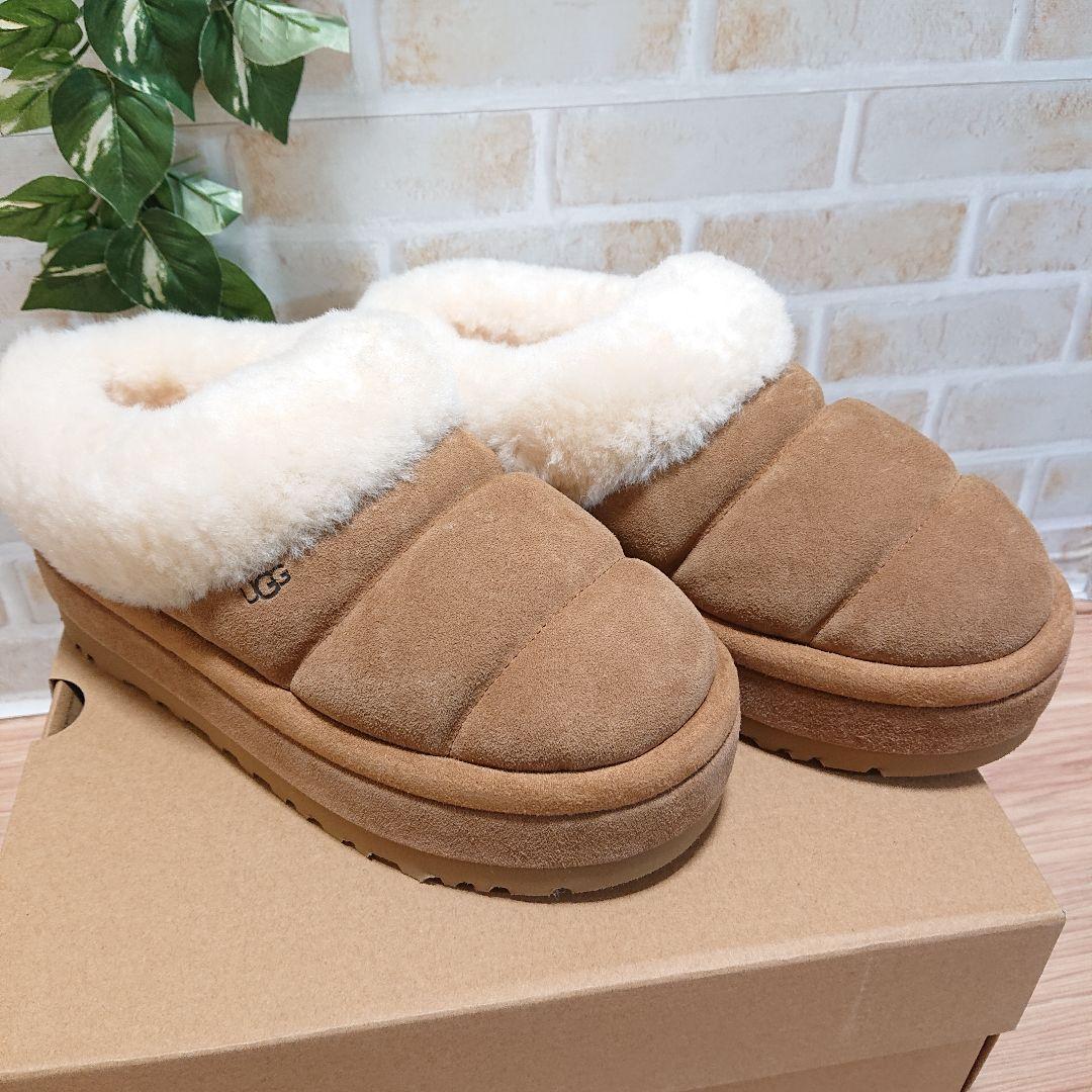 Tazzlita　タズリータ チェスナット 23cm 厚底 新品　UGG　アグ