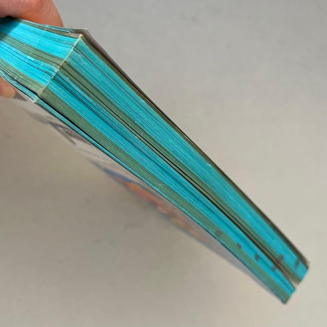 インド 旅行ガイド 地球の歩き方 ダイヤモンド・ビッグ社 95〜96