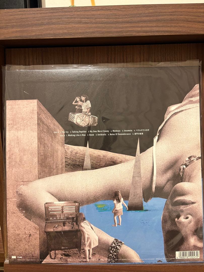 新品　the HIATUS ANOMALY レコード