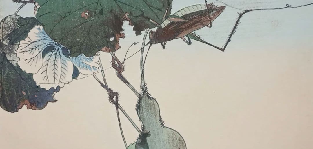 稀省亭版画花鳥画帖12図柄入り渡辺省亭画、明治後期頃芸艸堂出版